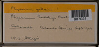Image Associated With the Occurence